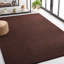 Natural Fiber Roeliene Area Rug In Brown-2927513