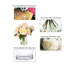 Arrangements floraux mixtes dans un vase-1150141598