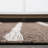 Siegbald Berber Stripe Brown/Beige Indoor/Outdoor Rug-394547968