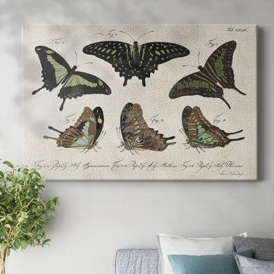 «Crackled Butterflies II», toile tendue avec châssis