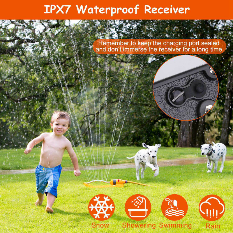 Rechargeable Dog Fence with 100 Adjustable Levels