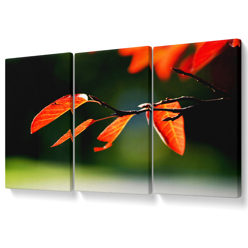 Brayden Studio Orange Leaves in Sunlight - 3 Piece Wrapped Canvas ...
