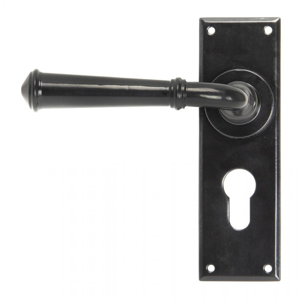 Regency Lock Door Handle Kit