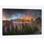 «Spring in New Zealand VI», reproduction de photo sur toile-73216630-73216631-73216632