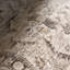 Tapis traditionnel Devika-1413170404