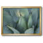 Blue Agave I, reproduction d'art sur toile-1613496268-1613496271