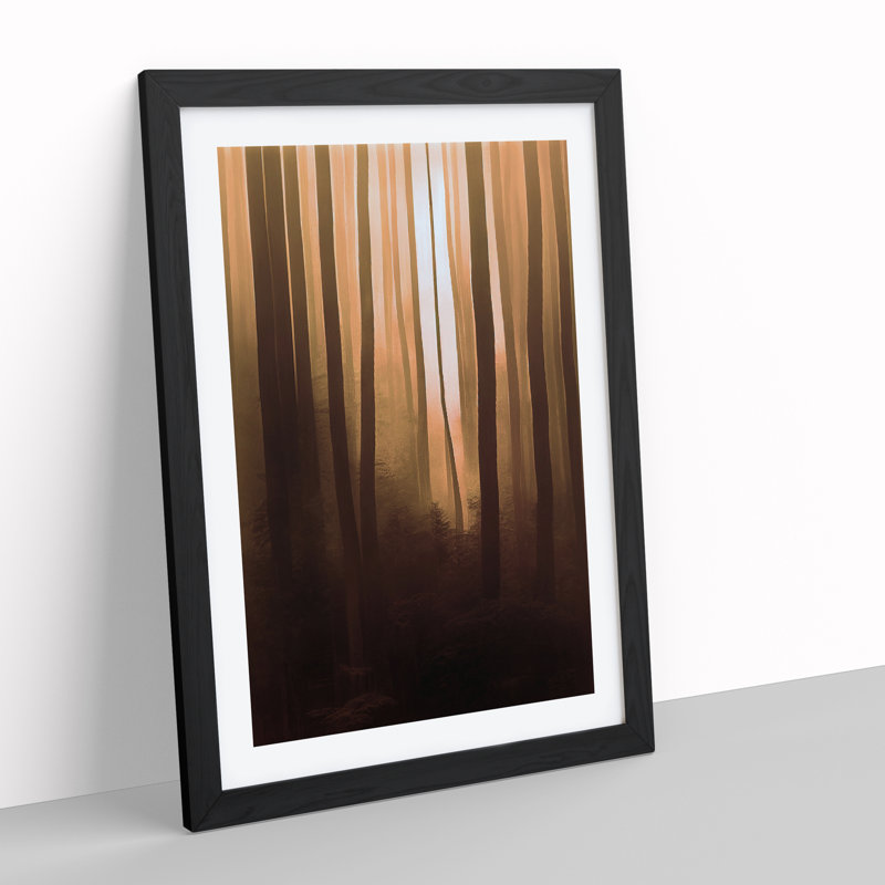 Autumnal Forest No.3 - Single Picture Frame Print, Black Framed, 64cm H x 46cm W x 2cm D