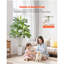 Arbre artificiel Dracaena 6 pi avec plante blanche