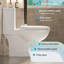 Toilette allongée une pièce de 17,3 po de hauteur confortable, chasse d'eau 1,1 / 1,6 siphon avec MaP 1000 g, siège à fermeture en douceur et à dégagement rapide inclus, blanc brillant-117244002