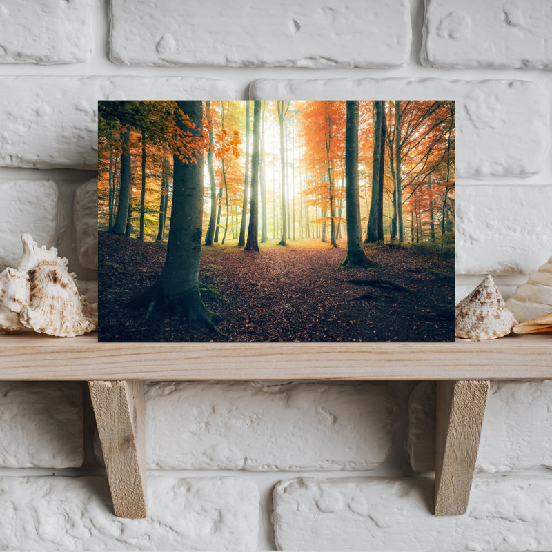 «Autumn in the Woods Abstract Contemporary Forest Landscape», reproduction d'art mural, H 12 po x l 18 po