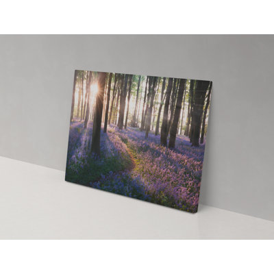 Bluebell Wonders - Wrapped Canvas Print