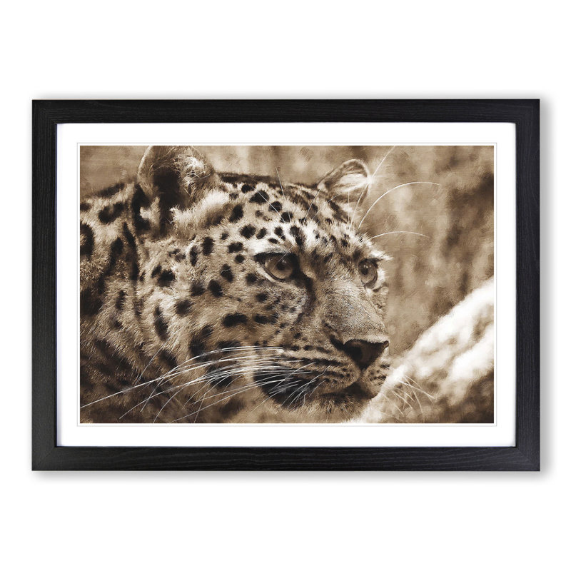 Leopard Vol.3 - Picture Frame Painting, Black Framed, 48cm H x 65cm W x 2cm D