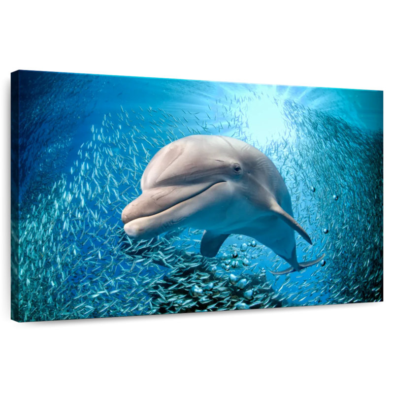 Brampt Dolphin Close Up, 26" H x 39" W