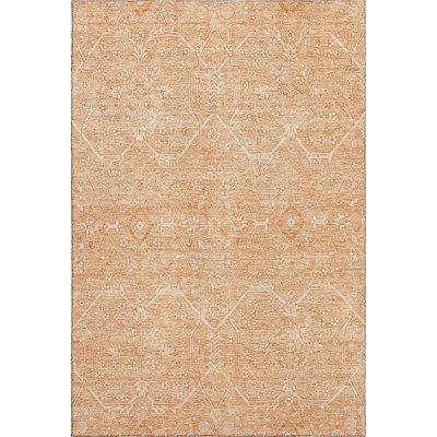 Premium Machine Washable Barry AMF1224 Panel Rug