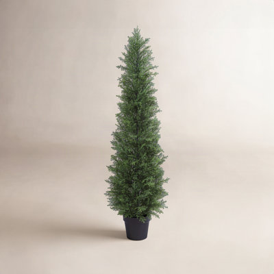 Adcock 60" Cedar Topiary in Pot