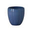 CREST PLANT, NEIGE-1178832793-1178832814