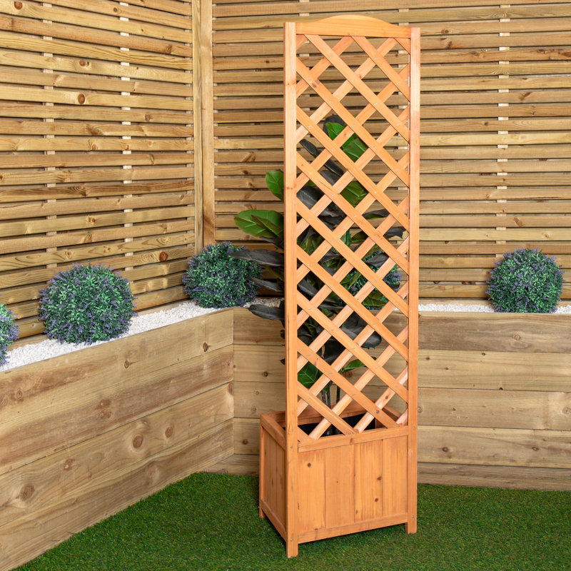 Anaum 160cm H x 40cm W Wood Trellis