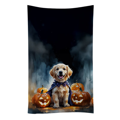 Torchon Golden Retriever Puppy