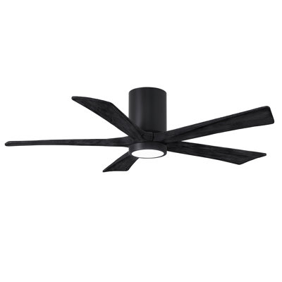 Irene Ceiling Fan with LED Light Kit