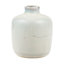 Iversen 8 Piece Stoneware Table Vase Set-581152451