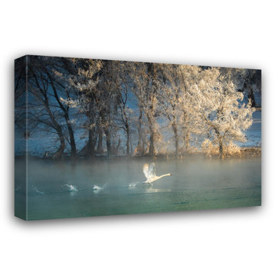 Spirit Of A Swan - Giclee Reproduction on Gallery Wrapped Canvas