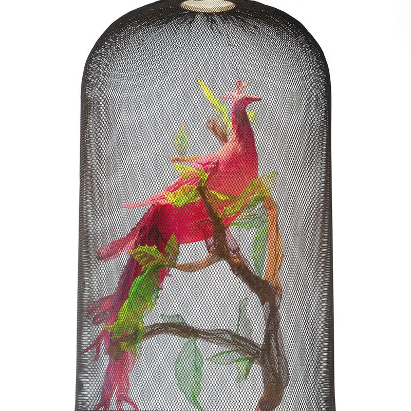 Curio 1 - Light Pendant