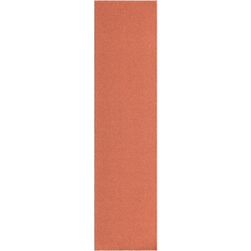 Indoor Rug, Runner 2'6" x 10'