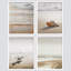 Minimal Beach Shore Ocean Sea Seashell, reproduction encadrée de 4 pièces-90605113-90605115