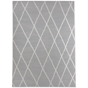 Weisner Moroccan Indoor / Outdoor Rug