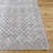 Alcaide Washable Oriental Indoor Rug-1636171450