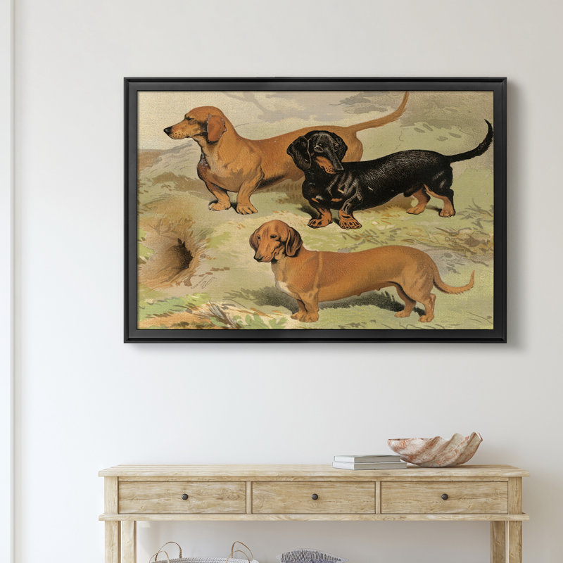 Dachsunds - reproduction d'art sur toile, H 30,5 po x l 42,5 po x P 1,5 po, Noir