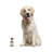 Andren Animals Figurines & Sculptures