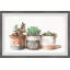 Cactus Cans by Parvez Taj - Single Picture Frame Painting-38598693