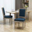 Chaise d'appoint Viveiros-28747286-128621953-128621955