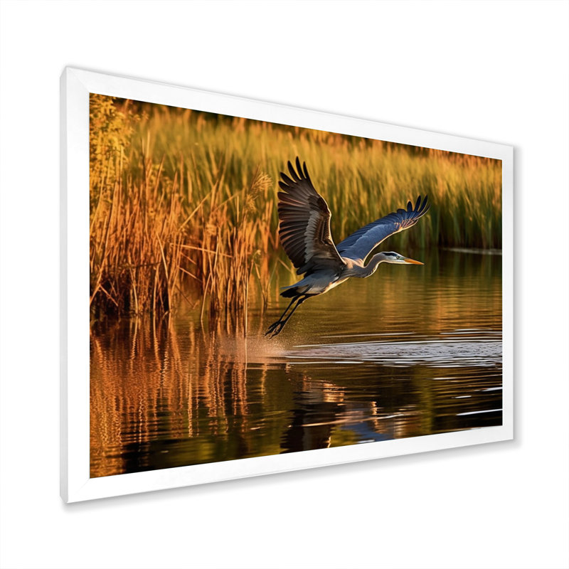 Heron In Delaware Lakes sur impression sur toile, Cadre photo blanc, H 12 po x l 20 po x P 1 po