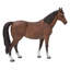 Cheval debout