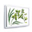 Fleurs d'orchidées vertes - peinture sur toile-59815265-59815266