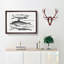 Shark and Dolphins by Thomas Astley - Picture Frame Drawing Print-55619328-55619331
