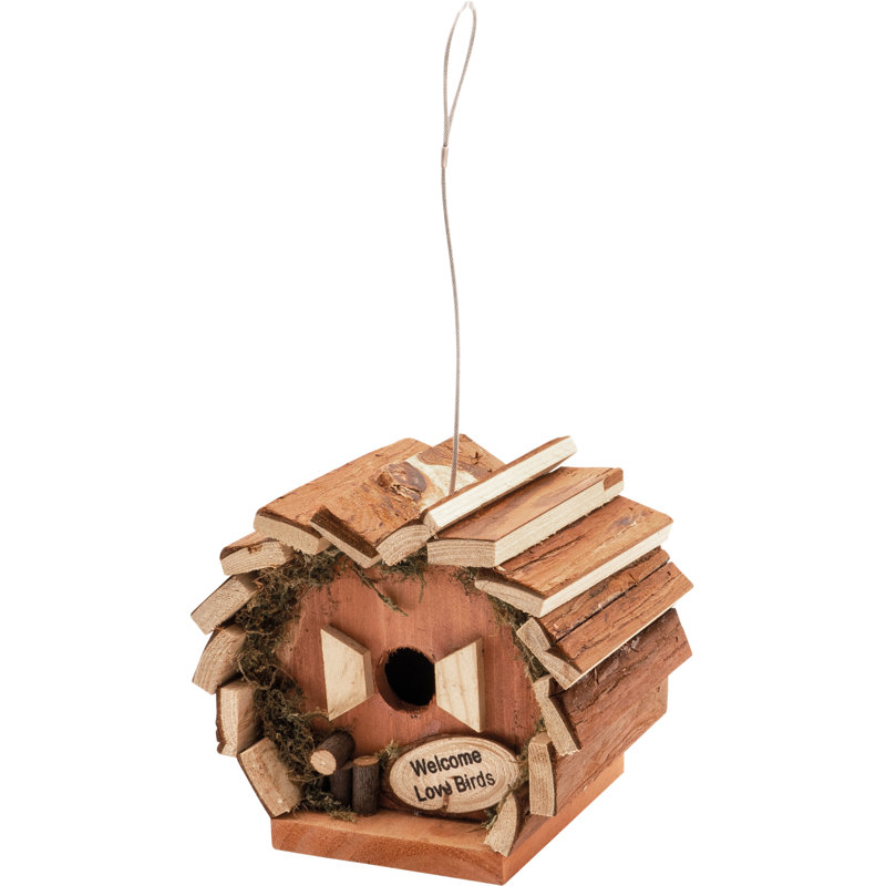 Caggiano Hanging Bird House