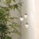 Heatherly 3 - Light Cluster Pendant