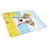 Jack Russell terrier brun