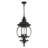 Aalena 4 - Light Outdoor Hanging Lantern-54497903