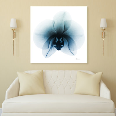 " Glacial Orchid " by Albert Koetsier