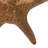 Tempe Landscape & Nature Figurines & Sculptures