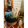Wilson 17-18" Decorative White Birch Logs, Natural Bark