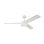 LED Ceiling Fan