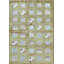 Patchwork Area Rug in Light Green/White/Blue