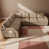 Ourson brun est en rupture de stock