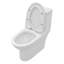 Siège de toilette une pièce allongé à double chasse inclus