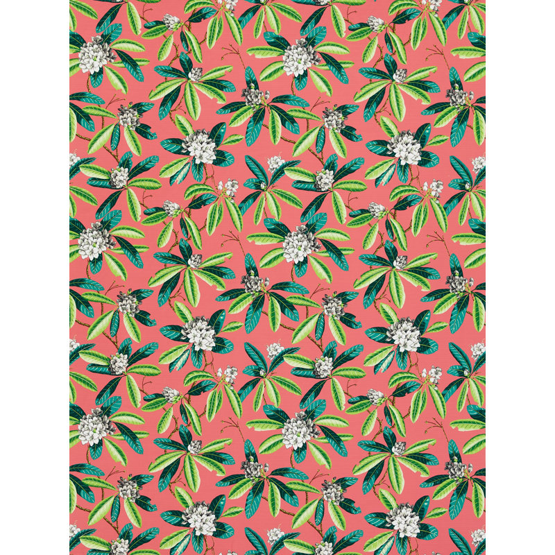 RHODODENDRON - OUTDOOR, Flamingo